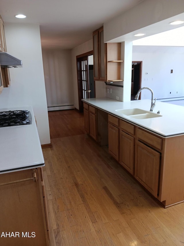 515 Felgar Rd, Somerset, PA 15501 - kitchen featuring a baseboard heating unit, open shelves, light wood-style flooring, a sink, and range hood