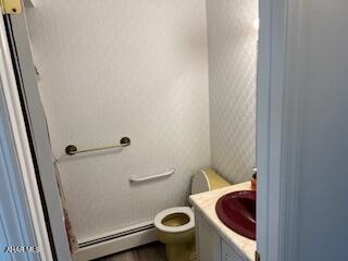 1012 Gray Ln, Duncansville, PA 16635 - bathroom with a baseboard heating unit and vanity