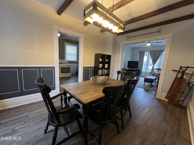 dining space with beamed ceiling, dark hardwood / wood-style floors, and ceiling fan