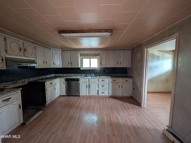 kitchen with light hardwood / wood-style flooring and stainless steel dishwasher