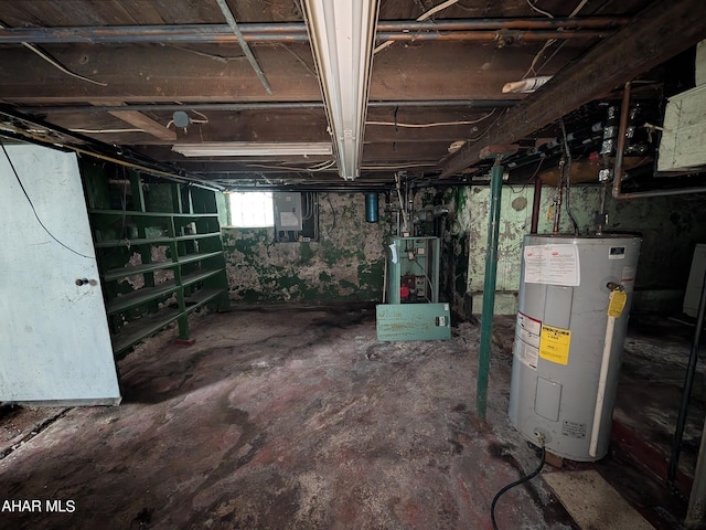 basement featuring electric water heater and electric panel