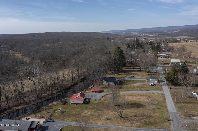 birds eye view of property with a rural view and a mountain view