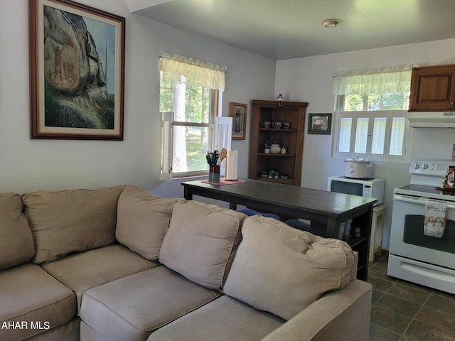 living room featuring plenty of natural light and dark tile patterned floors