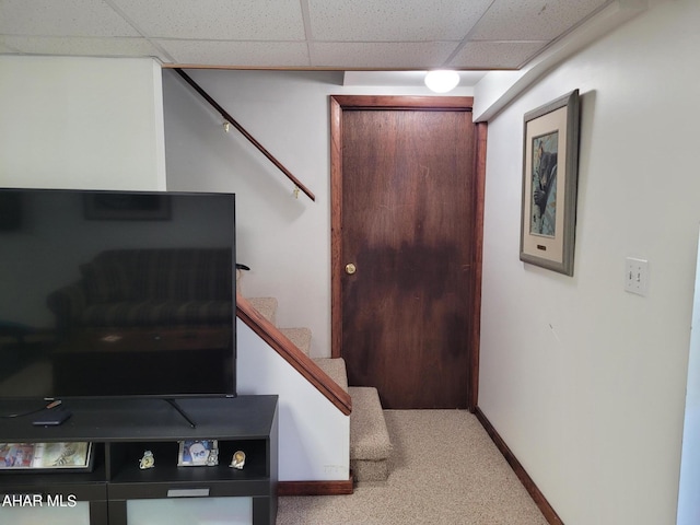 stairway with carpet flooring and a drop ceiling