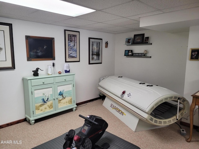 bedroom with light colored carpet, a drop ceiling, and baseboards