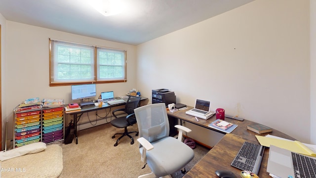 829 Ashcroft Ave, Cresson, PA 16630 - view of carpeted home office