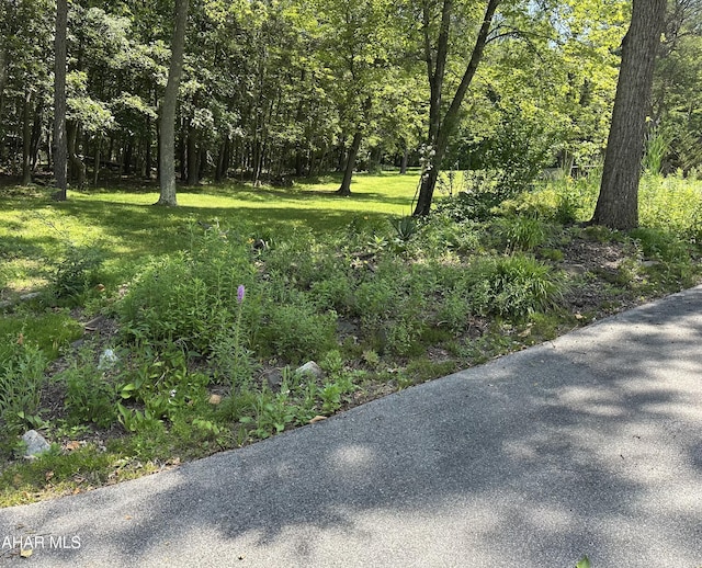 159 Hollidaysburg Sportsman Rd, Hollidaysburg, PA 16648 - photo 27