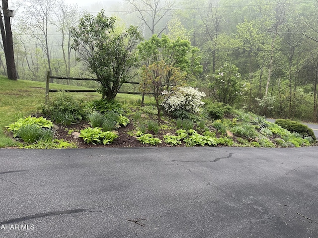 159 Hollidaysburg Sportsman Rd, Hollidaysburg, PA 16648 - view of road