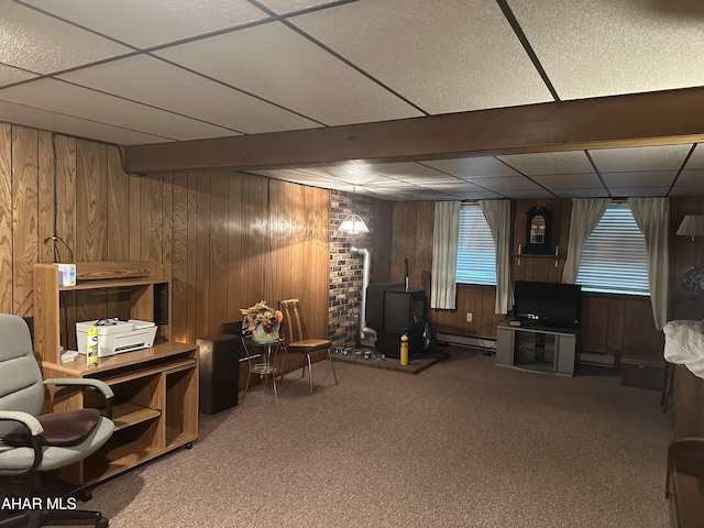 159 Hollidaysburg Sportsman Rd, Hollidaysburg, PA 16648 - sitting room featuring wood walls, a baseboard heating unit, carpet floors, baseboard heating, and a wood stove