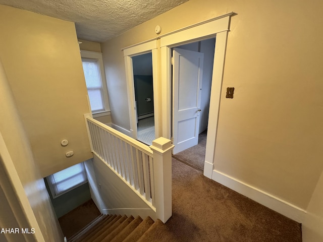 2123 2nd Ave, Altoona, PA 16602 - stairs with a baseboard radiator, carpet floors, and a textured ceiling