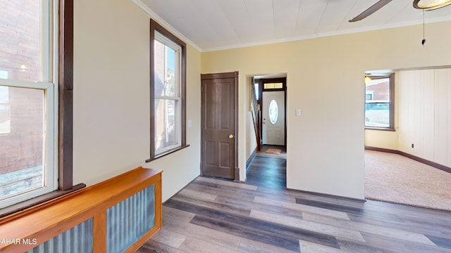 foyer featuring baseboards, wood finished floors, a ceiling fan, and ornamental molding