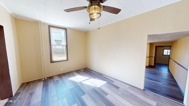 empty room with crown molding, a ceiling fan, and wood finished floors