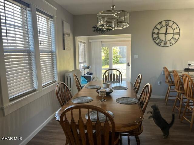 dining room featuring an inviting chandelier, a wealth of natural light, and dark wood-type flooring