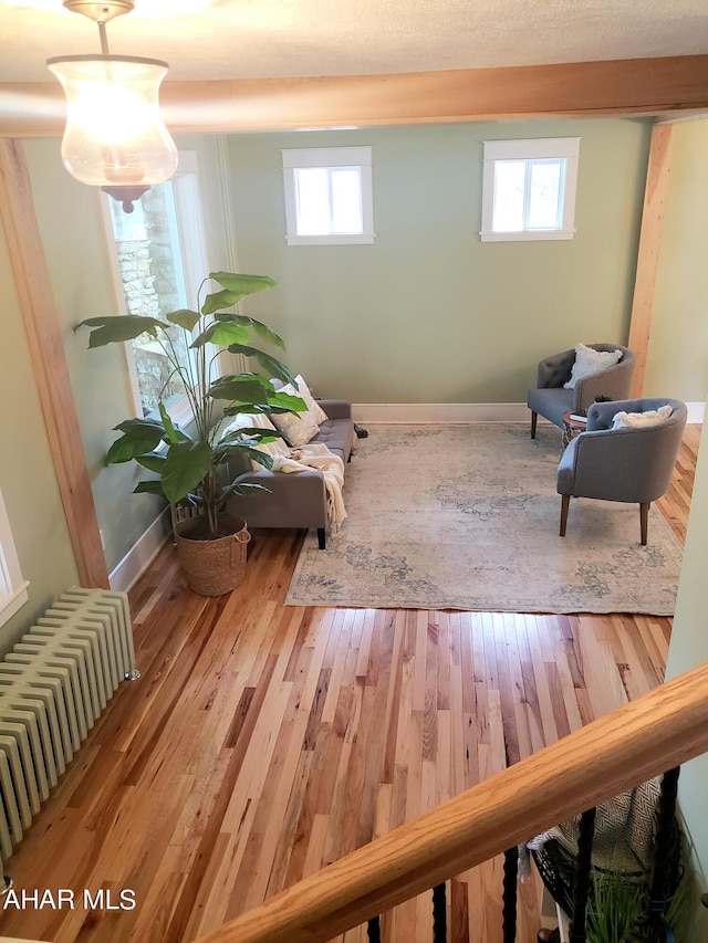 sitting room with radiator, light hardwood / wood-style floors, and a wealth of natural light