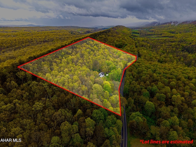 6334 Black Valley Rd, Everett, PA 15537 - bird's eye view featuring a wooded view