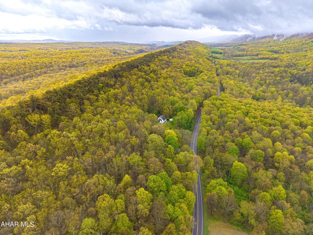 6334 Black Valley Rd, Everett, PA 15537 - birds eye view of property with a view of trees