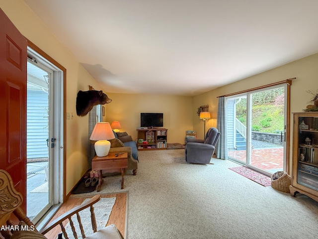 6334 Black Valley Rd, Everett, PA 15537 - living area featuring carpet floors