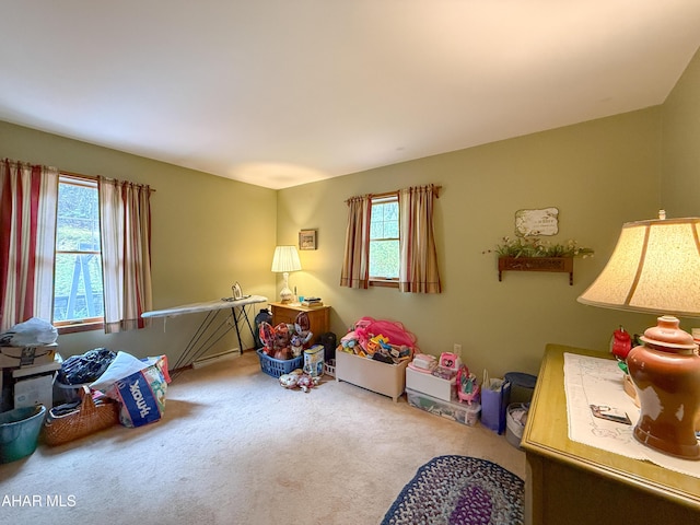 6334 Black Valley Rd, Everett, PA 15537 - rec room featuring a wealth of natural light and carpet