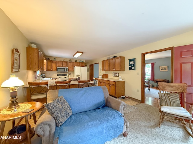 6334 Black Valley Rd, Everett, PA 15537 - living room featuring light carpet