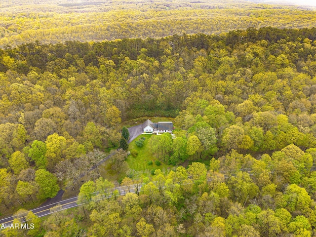 6334 Black Valley Rd, Everett, PA 15537 - bird's eye view with a forest view