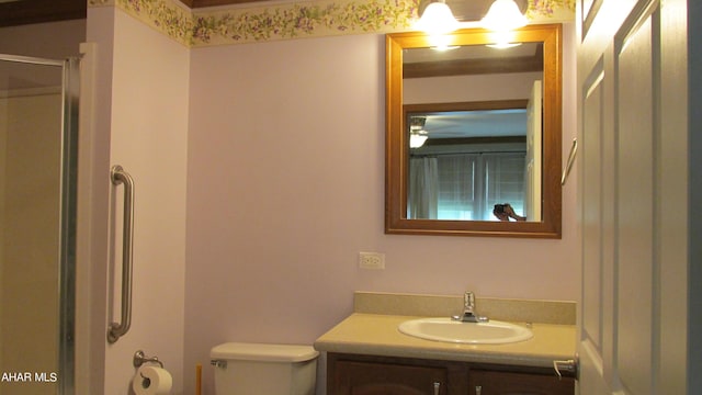 bathroom with a shower, vanity, and toilet