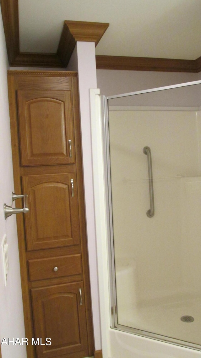 bathroom featuring a shower with shower door