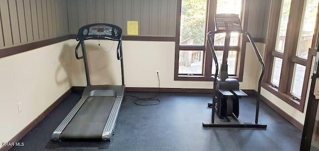 exercise area featuring a healthy amount of sunlight