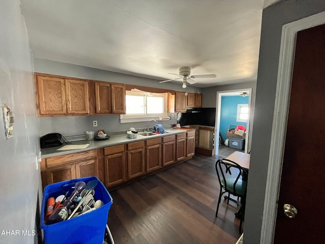 kitchen featuring sink, dark hardwood / wood-style floors, and ceiling fan