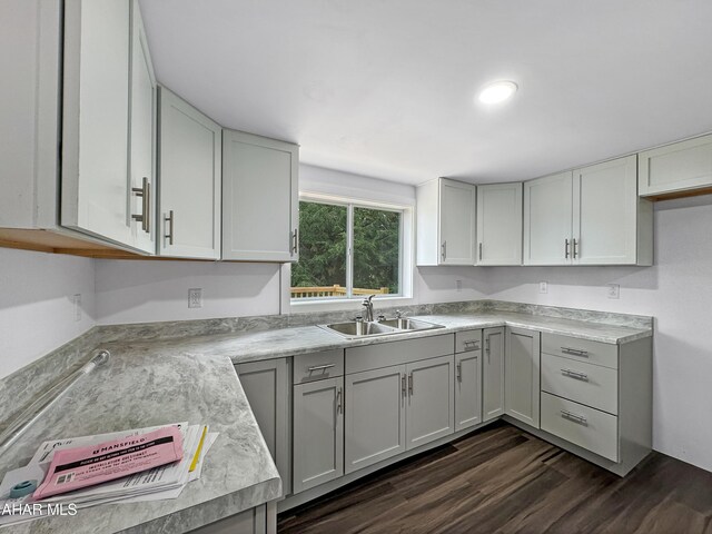 kitchen with sink and dark hardwood / wood-style floors