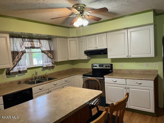 6331 Hyndaman Rd, Buffalo Mills, PA 15534 - kitchen with stainless steel range with electric cooktop, black dishwasher, a textured ceiling, under cabinet range hood, and white cabinets