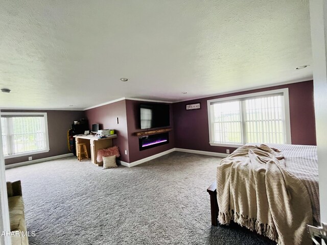 232 Basswood Dr, Martinsburg, PA 16662 - photo 12