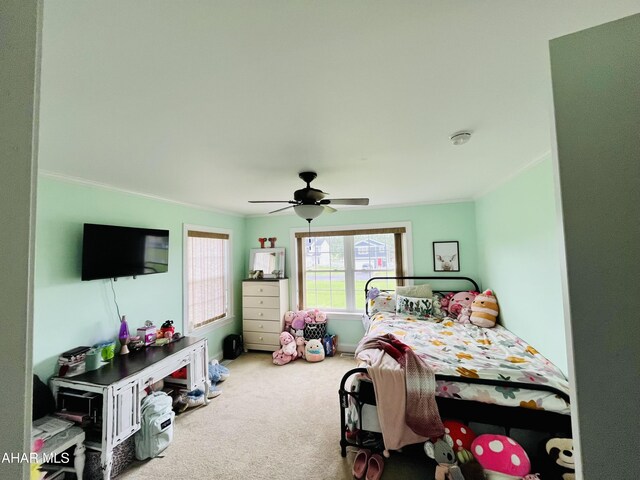 232 Basswood Dr, Martinsburg, PA 16662 - photo 16