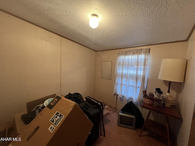 carpeted bedroom with a textured ceiling