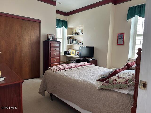 522 Wayne St, Hollidaysburg, PA 16648 - bedroom with carpet floors, multiple windows, and a closet