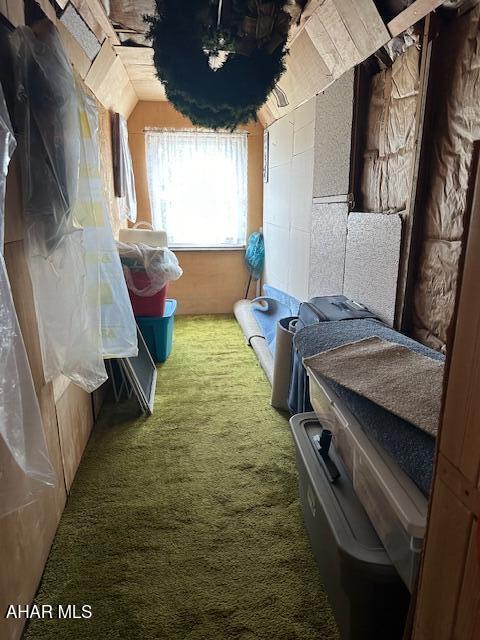 522 Wayne St, Hollidaysburg, PA 16648 - view of storage area