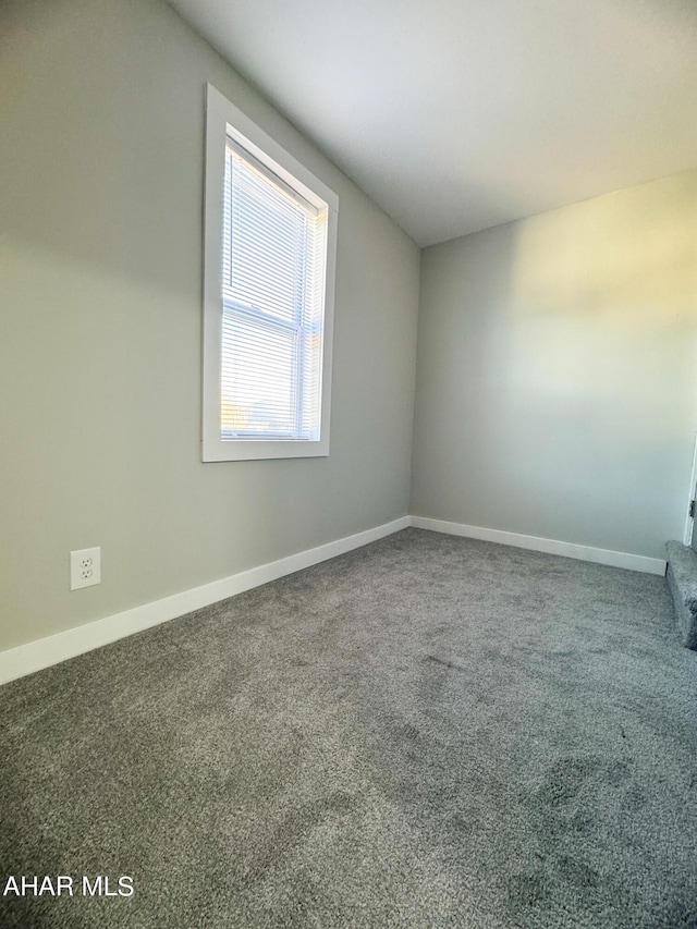 additional living space with carpet flooring