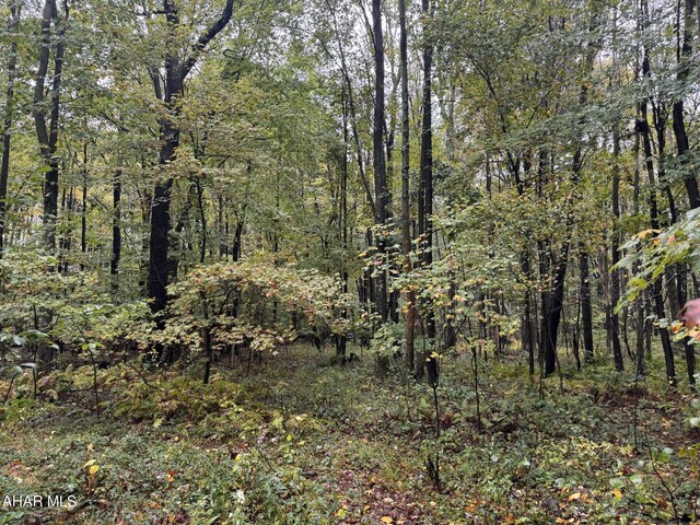 000 Williams Ave, Alverda, PA 15710 - photo 5