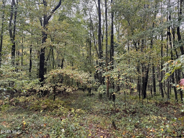 000 Williams Ave, Alverda, PA 15710 - photo 2