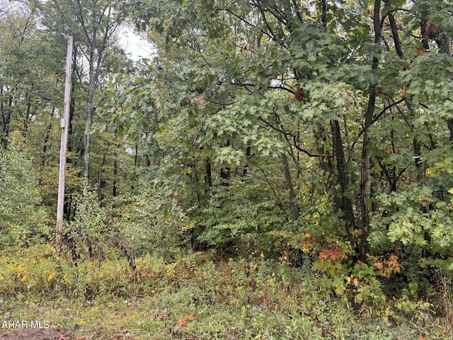 000 Williams Ave, Alverda, PA 15710 - photo 1