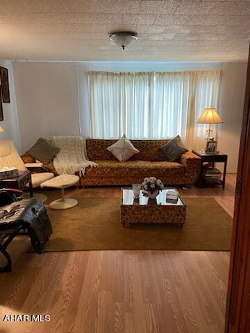 living room with hardwood / wood-style floors and a textured ceiling