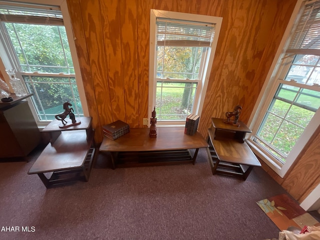 sitting room with a healthy amount of sunlight and wooden walls