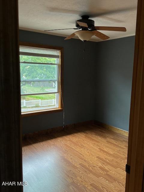 unfurnished room with ceiling fan and light hardwood / wood-style floors