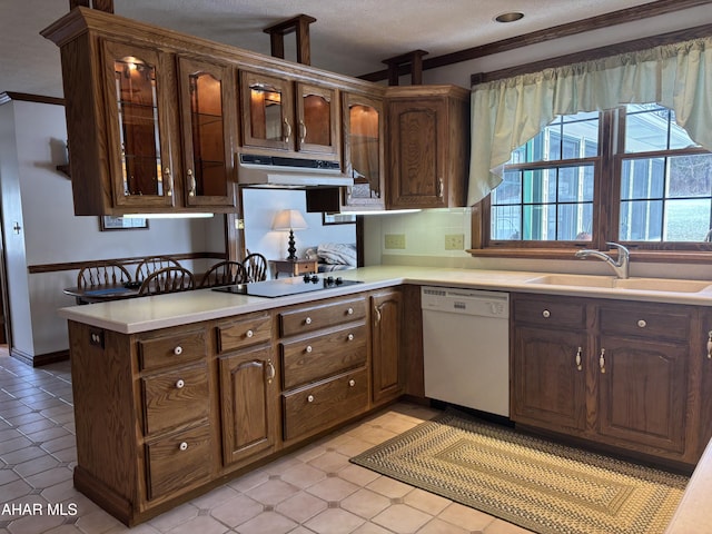 kitchen with white dishwasher, sink, black electric cooktop, dark brown cabinets, and kitchen peninsula