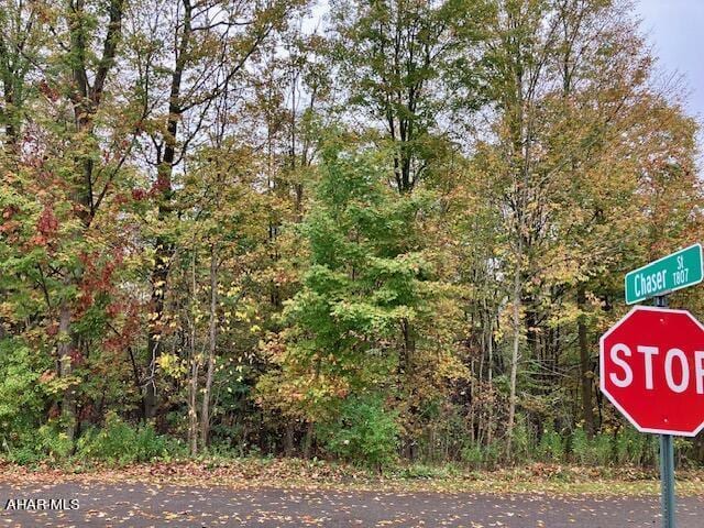 0 Pike Rd, Johnstown, PA 15909 - photo 4