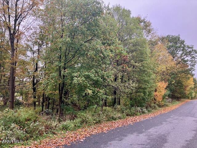0 Pike Rd, Johnstown, PA 15909 - photo 2