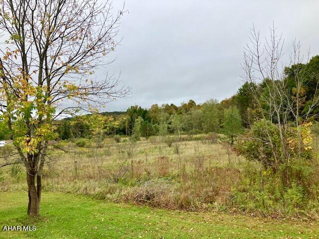 0 Pike Rd, Johnstown, PA 15909 - photo 5