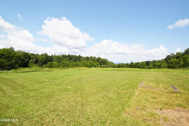 view of yard with a rural view