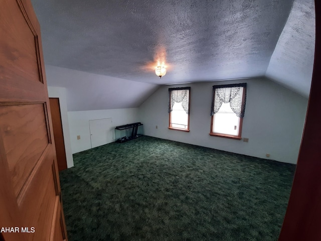 bonus room with carpet floors, a textured ceiling, and lofted ceiling