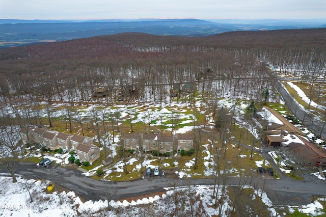 snowy aerial view featuring a mountain view