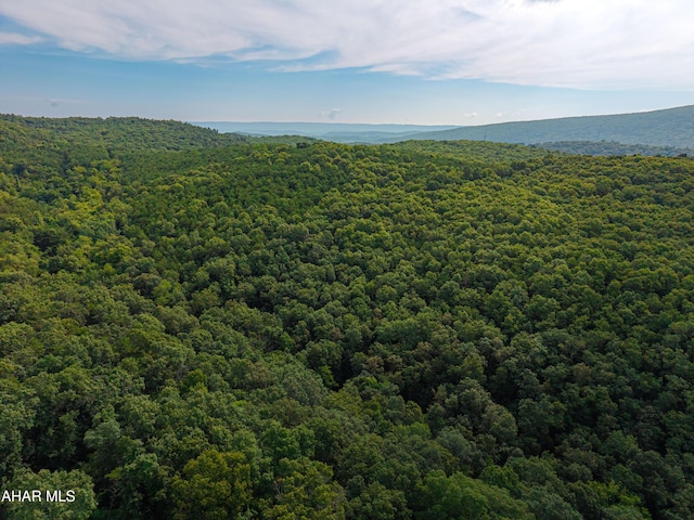 OFF Tulls Hill Rd, Manns Choice, PA 15550 - photo 11